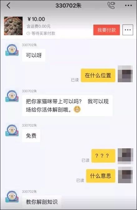 「你不轉我100元，我就天天殺貓！」 寵物 第8張