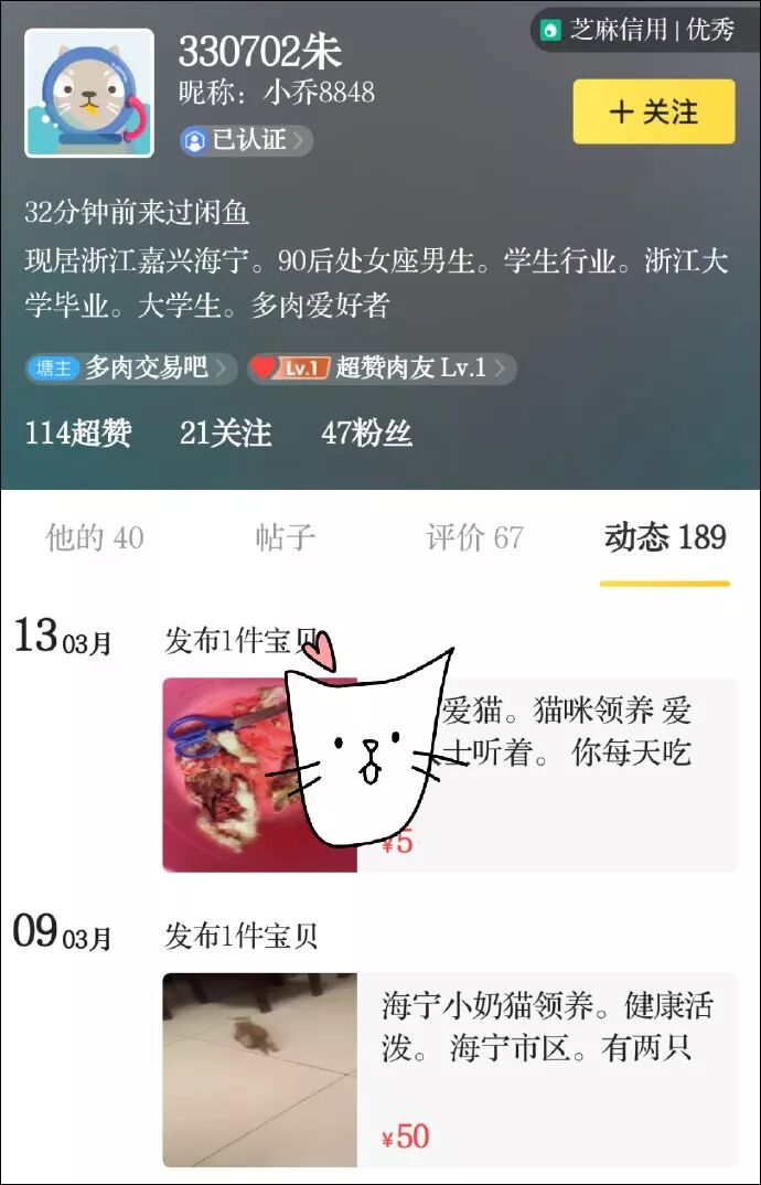 「你不轉我100元，我就天天殺貓！」 寵物 第3張