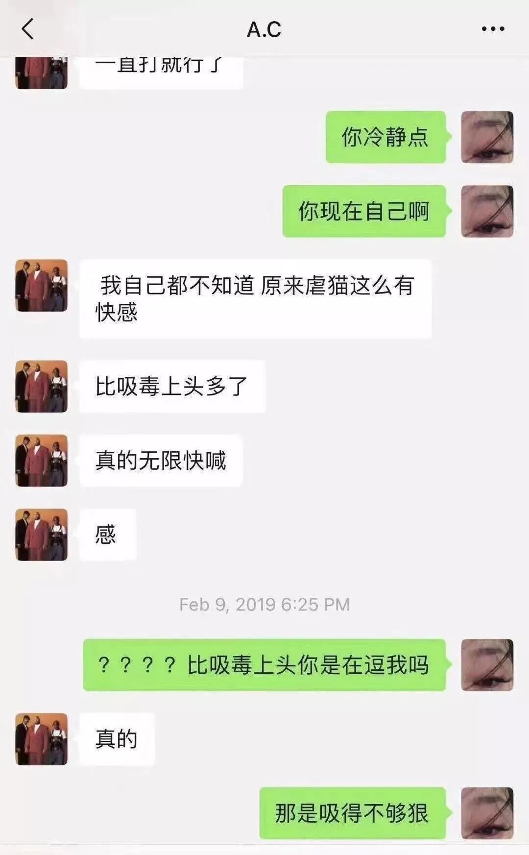 「你不轉我100元，我就天天殺貓！」 寵物 第17張