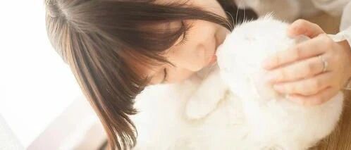 当代年轻人养猫前后的对比：这是一篇猫奴的血泪史！