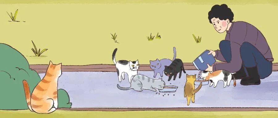 “那只讨厌人的流浪猫，才能活下去！”