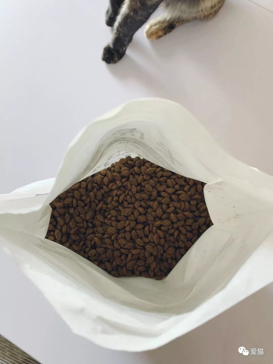 我在網上發現一種超沙雕的貓糧，竟用神獸「鯤魚」做原料～ 萌寵 第11張