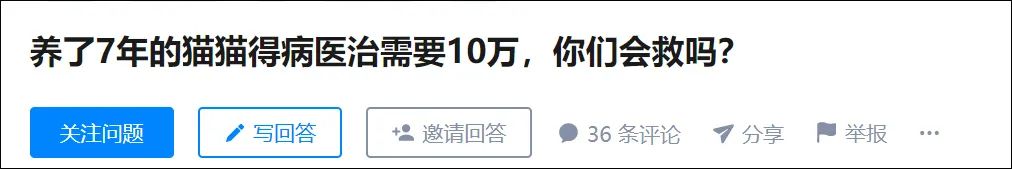 “猫，是奢侈品！”