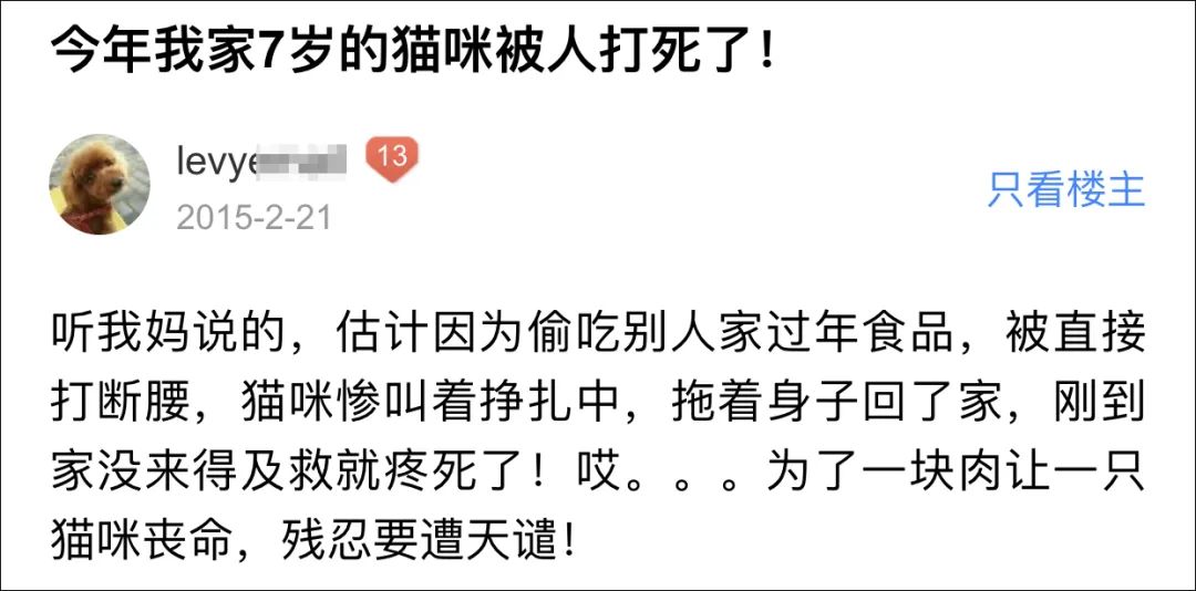 求大家不要散養貓好嗎！流浪貓鮑勃就是因為散養被車撞死的！ 寵物 第12張