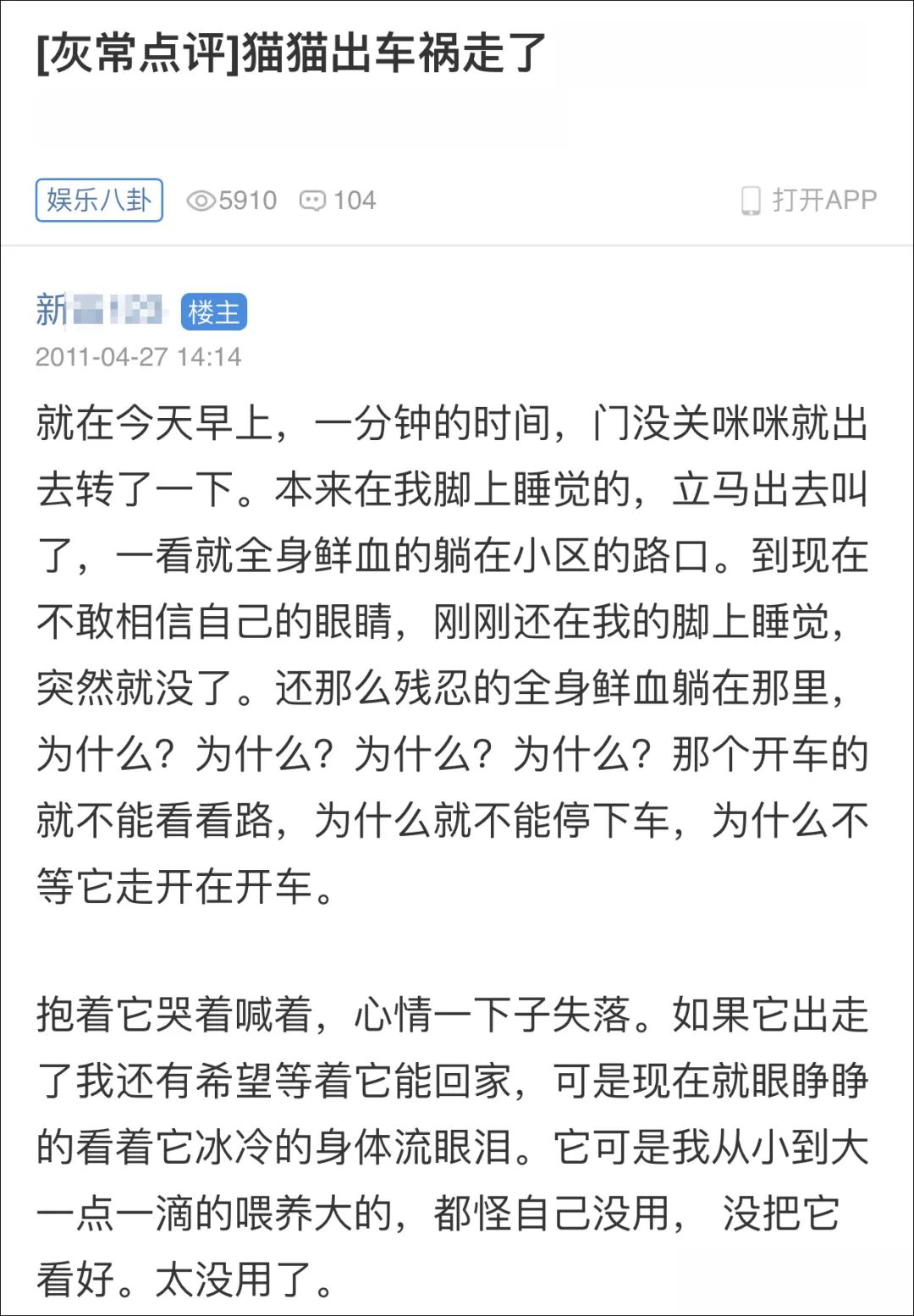 求大家不要散養貓好嗎！流浪貓鮑勃就是因為散養被車撞死的！ 寵物 第9張