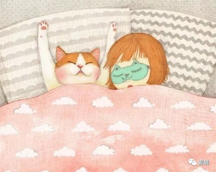 貓為什麼喜歡和你睡覺？真相是... 寵物 第3張