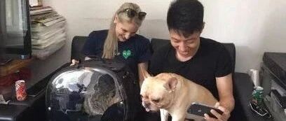 真·想不到啊，央视名嘴也都是猫奴！快被撒贝宁笑死了！