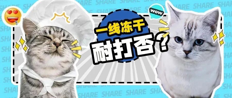 别催了！你们要的VE冻干评测来了~