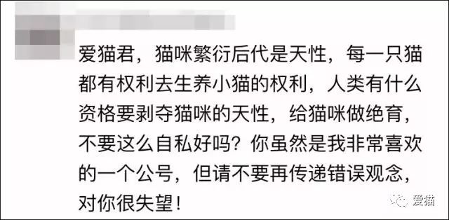 有一種無稽之談，叫「給貓絕育是害貓」！ 寵物 第4張