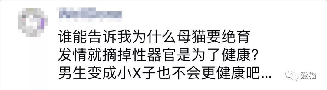 讓獸醫來告訴你，寵物是否應該絕育！ 寵物 第5張