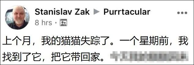 「我尋思著世界上有沒有兩隻相同的貓，直到...」 寵物 第13張