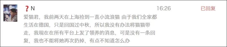 「應該批評喂流浪貓廉價糧的人嗎？」 萌寵 第22張