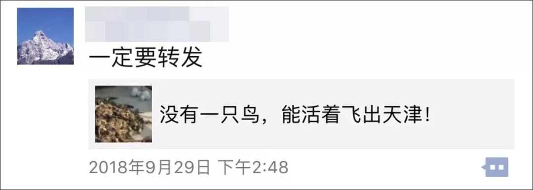 「應該批評喂流浪貓廉價糧的人嗎？」 萌寵 第14張