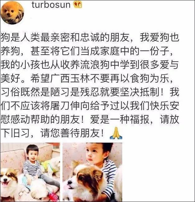 孫儷與女兒小花救助被扔高架橋的流浪貓，發文呼籲不要再有傷害！ 寵物 第13張