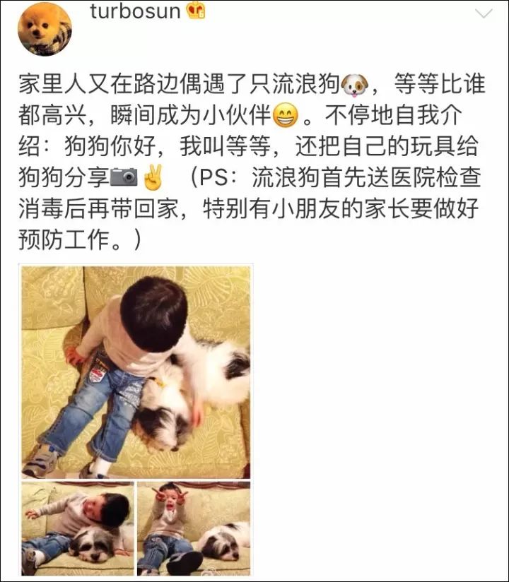 孫儷與女兒小花救助被扔高架橋的流浪貓，發文呼籲不要再有傷害！ 寵物 第9張