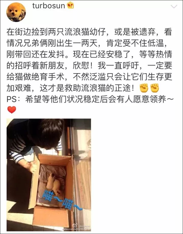 孫儷與女兒小花救助被扔高架橋的流浪貓，發文呼籲不要再有傷害！ 寵物 第11張