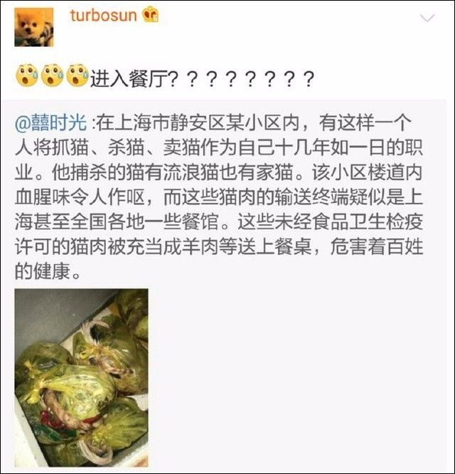 孫儷與女兒小花救助被扔高架橋的流浪貓，發文呼籲不要再有傷害！ 寵物 第12張