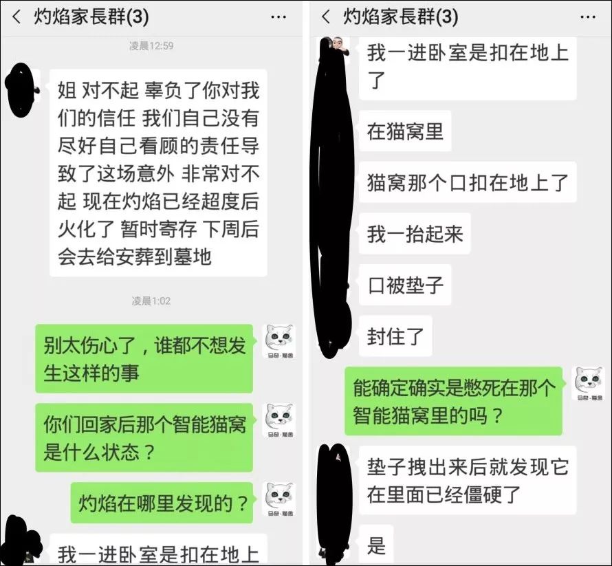 「我的貓因為小佩冷暖窩倒扣，而被活活悶死，太慘了！」 未分類 第4張