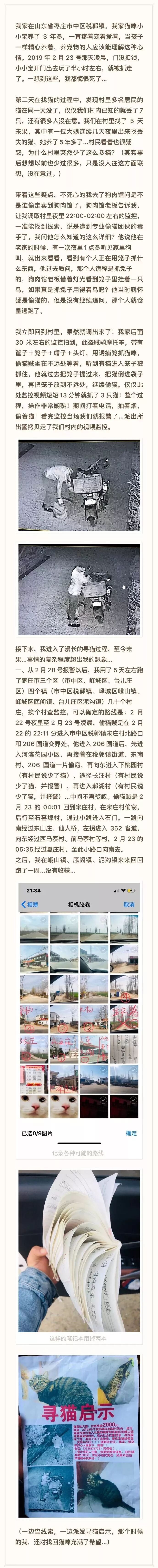 他們偷貓來當「野味肉」賣！長達十多年！ 寵物 第3張