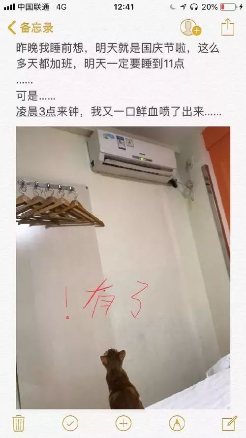 貓奴埋怨：「家裡就沒有貓上不去的地方！ ​​​​」哈哈哈笑噴～ 萌寵 第38張