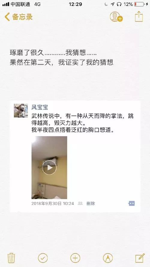 貓奴埋怨：「家裡就沒有貓上不去的地方！ ​​​​」哈哈哈笑噴～ 萌寵 第33張