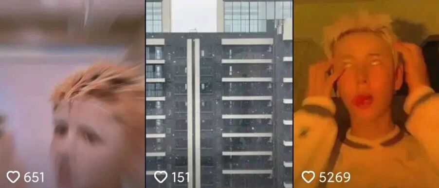 那个抖音网红在出租屋里，活生生饿死了他的宠物！