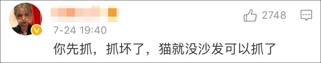 李榮浩又崩潰：「貓奴不配擁有沙發！」 寵物 第4張