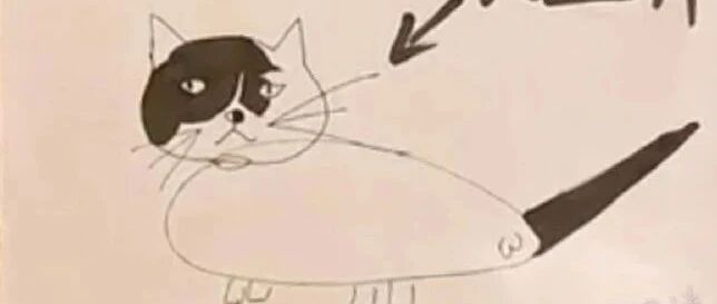 “谁家的猫丢了，长这样！”