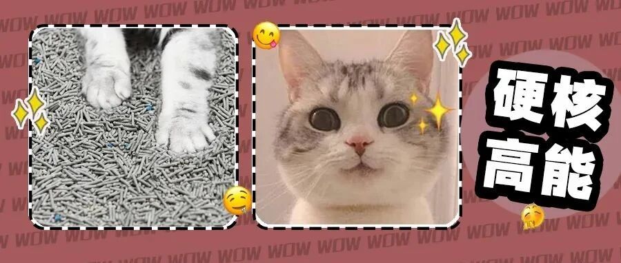 全网第一人！10款混合猫砂深度体验，得出的结论超震惊！