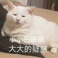沃日,再穷也要让猫吃安全?被催更n年的低价粮评测来咗!-微信头条网 沃日,再穷也要让猫吃安全?被催更n年的低价粮评测来咗!