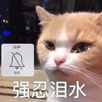 沃日,再穷也要让猫吃安全?被催更n年的低价粮评测来咗!-微信头条网 沃日,再穷也要让猫吃安全?被催更n年的低价粮评测来咗!