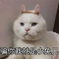 沃日,再穷也要让猫吃安全?被催更n年的低价粮评测来咗!-微信头条网 沃日,再穷也要让猫吃安全?被催更n年的低价粮评测来咗!