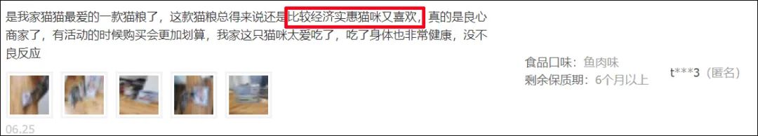 我們養貓是圈養，但國外人的養貓方式，與我們截然不同！ 寵物 第12張