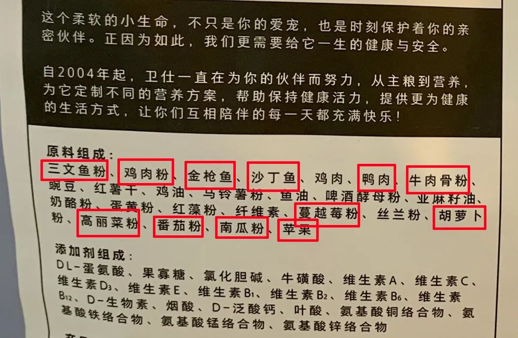 我們養貓是圈養，但國外人的養貓方式，與我們截然不同！ 寵物 第7張