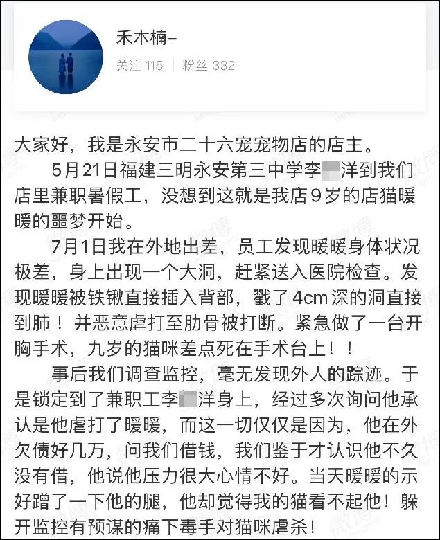 「未成年人到我的寵物店兼職暑假工，卻虐殺我的貓！」 寵物 第3張