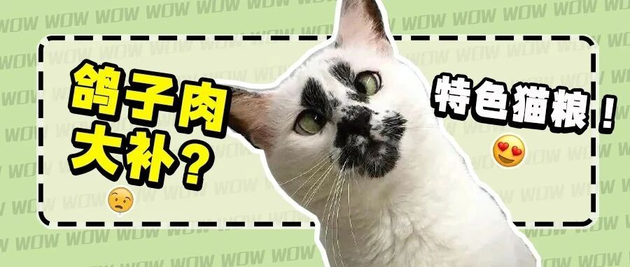 每月100块，就能吃乳鸽+冻干？？