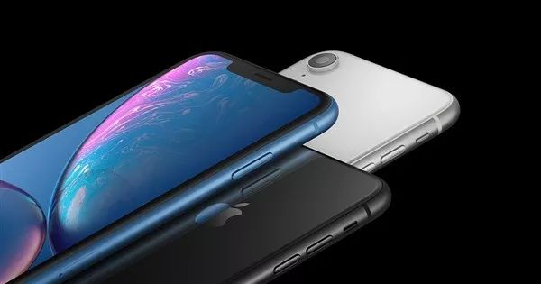 4周年曬萌寵活動，送iPhone XR、pidan網紅寵物用品、衛仕營養品！ 萌寵 第4張