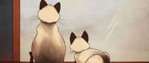 我为什么劝你不要养猫？因为...