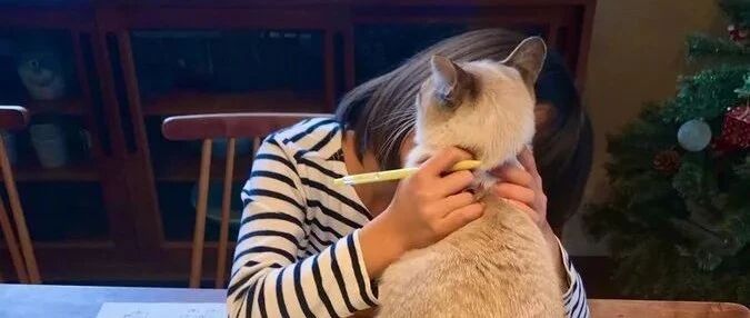 “我养的不是猫 ，是我成功路上的绊脚石！”