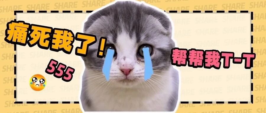 折耳猫能吃软骨素吗？测了4款主流软骨素，发现的问题真不少~