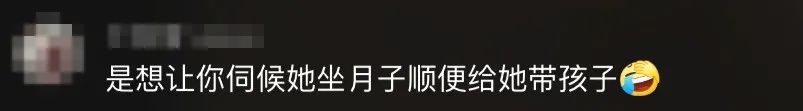 怀孕流浪猫临产前拼命爬9楼送二胎，网友：我就是传说中的接盘侠？！