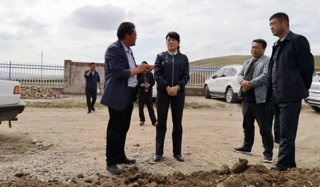 全国脱贫先进个人才科杰脱贫攻坚基层的一线女指挥长