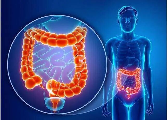结肠水疗仪怎么用快来给您的肠道做一次SPA！_https://www.jmylbn.com_新闻资讯_第4张