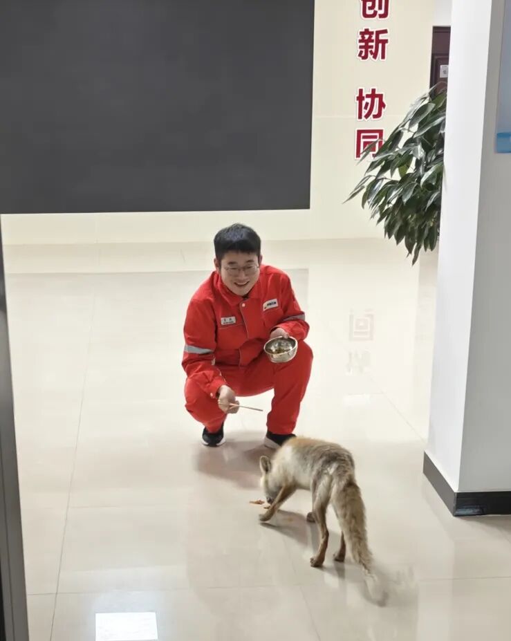 幸亏有你,让这世界可可爱爱