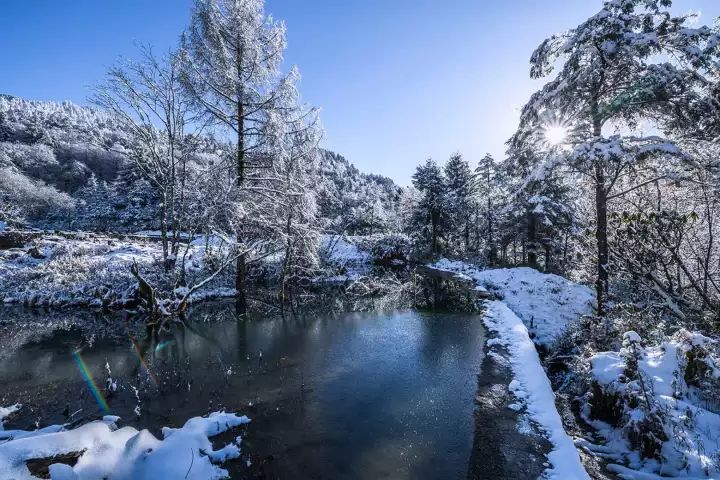 12月30日雅安喇叭河雪景美到爆