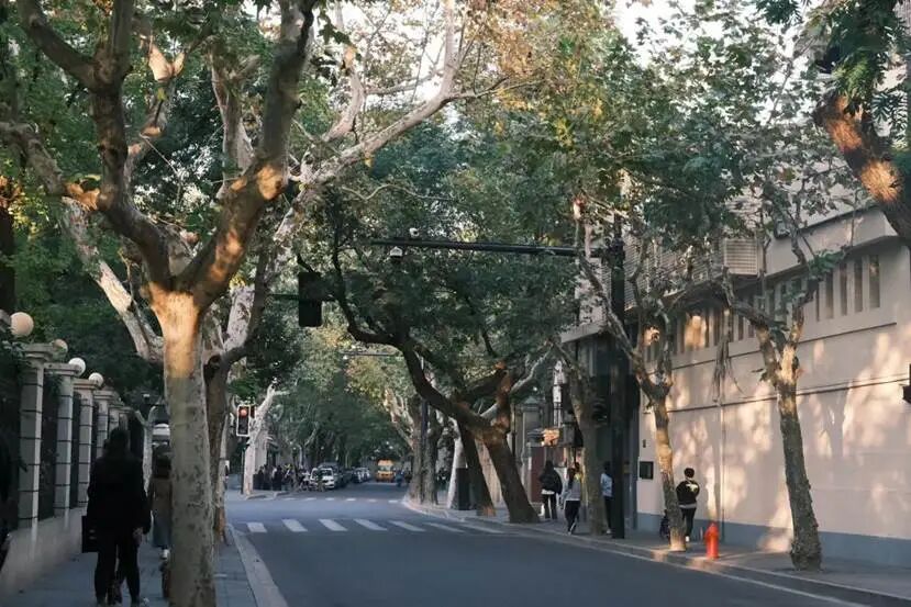 足不出沪也能拥有的周末好去处 - 封面图