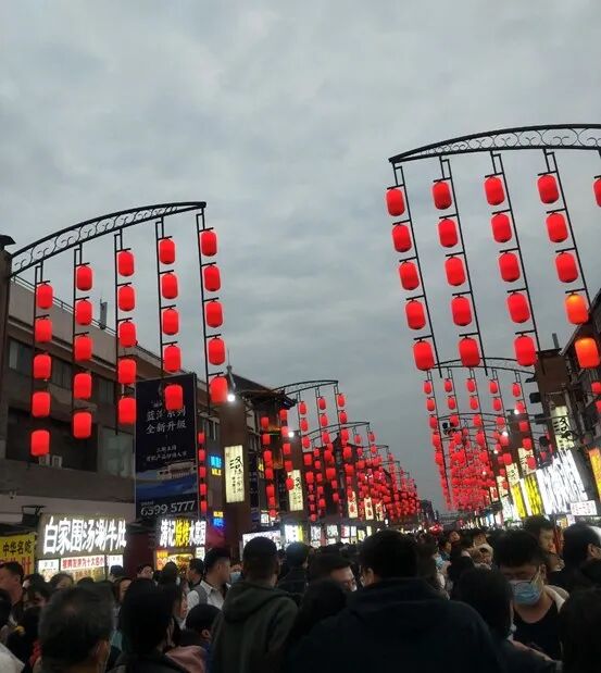 洛阳游记 - 封面图