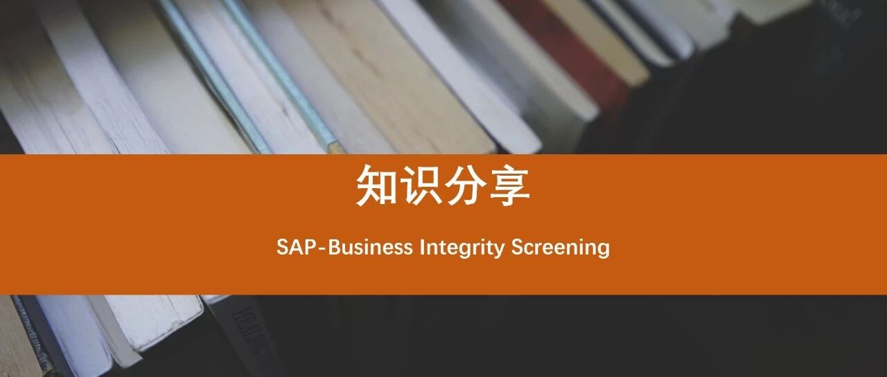 BIS 系统客户化开发如何检测数据中潜在的不规范行为 - 封面图