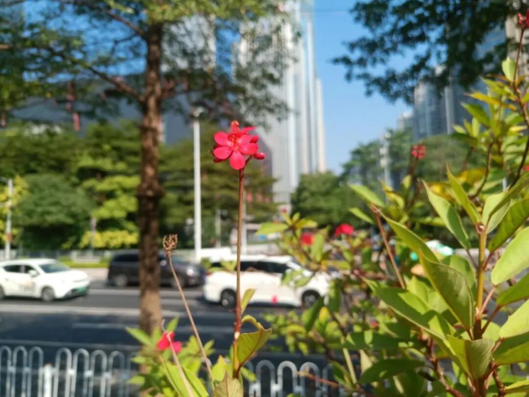 初到广州 - 封面图