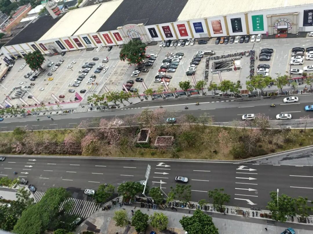 初到广州 - 封面图
